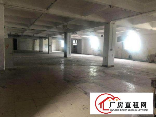  鹤田厦工业区本地房东自家厂房800平方交通便利