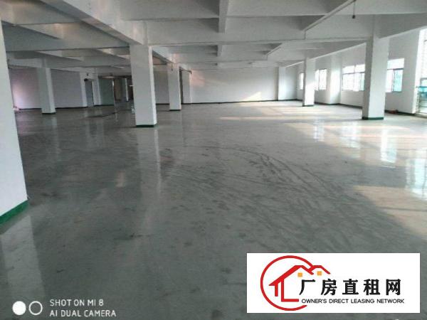  沙腰空出800平方带装修厂房出租，全新地坪漆