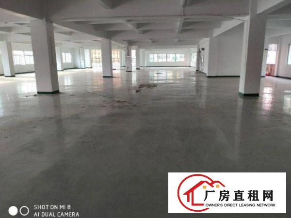  沙腰空出800平方带装修厂房出租，全新地坪漆