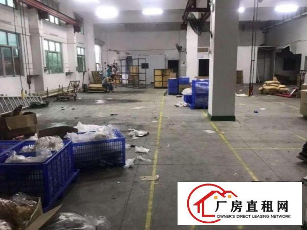  单屋新出一楼标准厂房1500平，可办环评