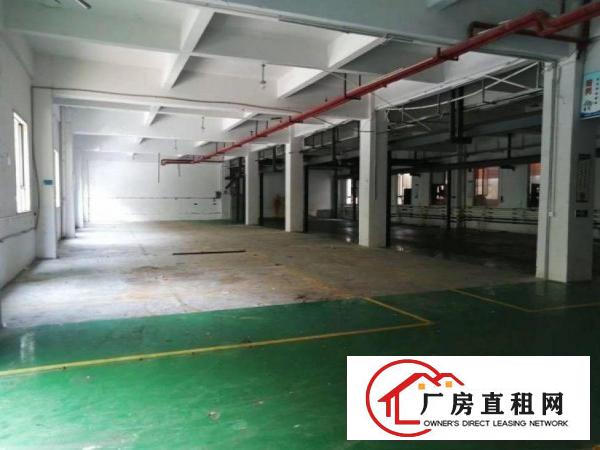  唐洪一楼1000平方厂房，带现成办公室，行车