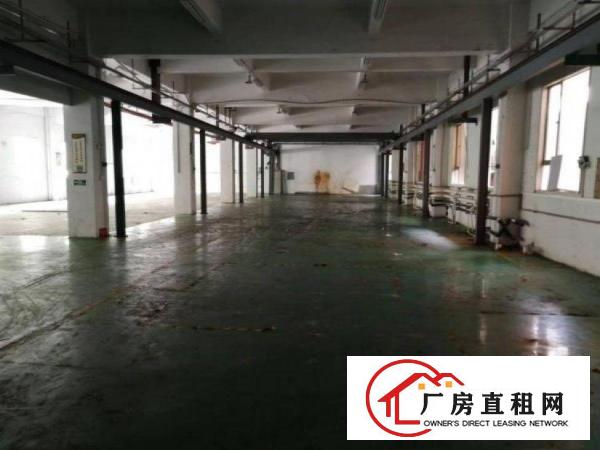  唐洪一楼1000平方厂房，带现成办公室，行车