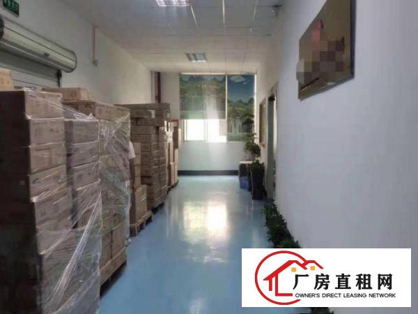  横滘新出楼上精装厂房1100平，可办环评