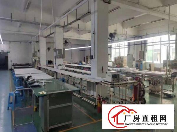  横滘新出楼上精装厂房1100平，可办环评