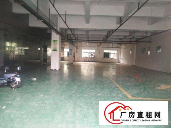  西南一楼厂房750平，带地坪漆，现成豪华办公