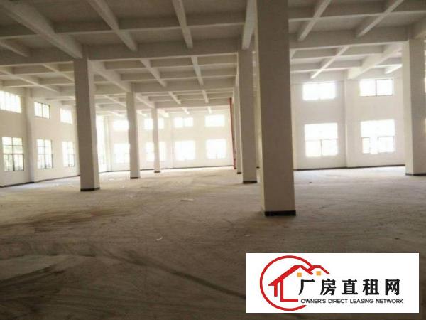  横滘新出标准一楼1200方，价格便宜，带装修