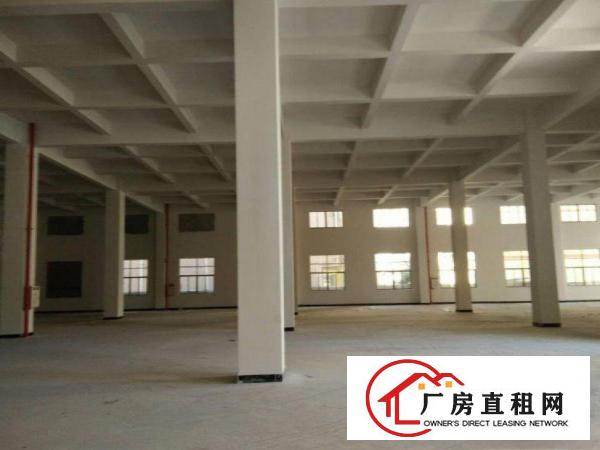  横滘新出标准一楼1200方，价格便宜，带装修