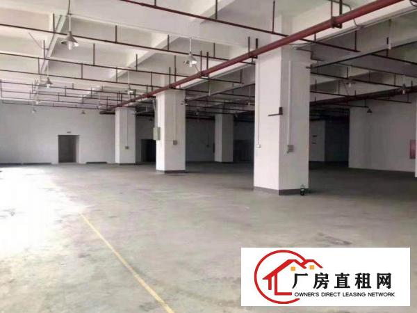 涌口出租一楼300平，无公摊，好办环评