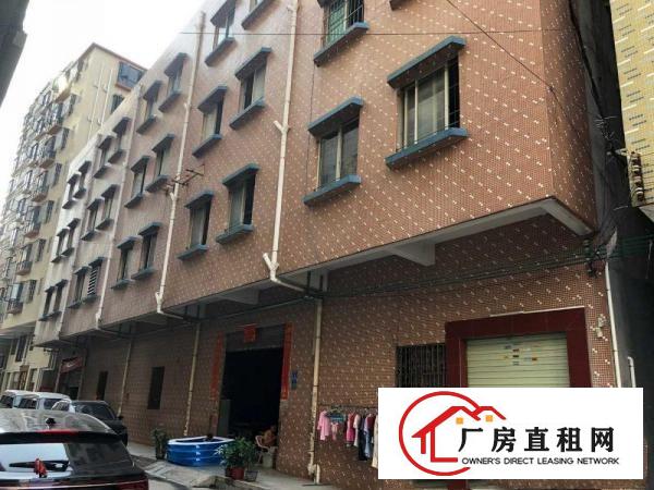  出租石碣镇畔龙东街厂房