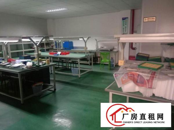  石碣镇唐洪工业区一楼厂房出租