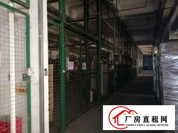  带红本的正规厂房出租