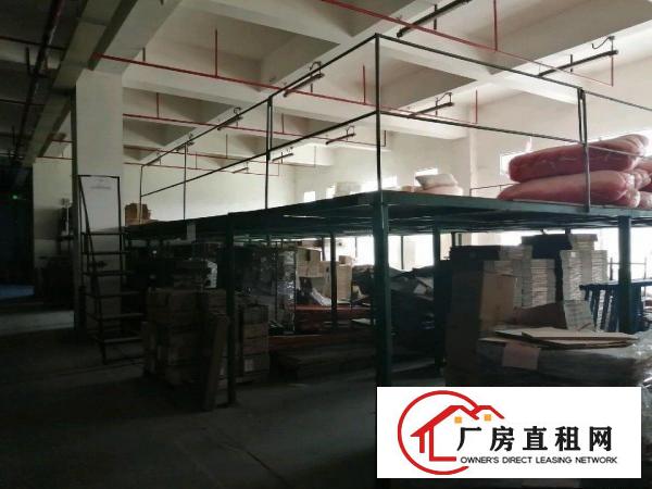  带红本的正规厂房出租