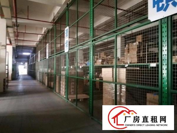  带红本的正规厂房出租