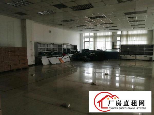  带红本的正规厂房出租