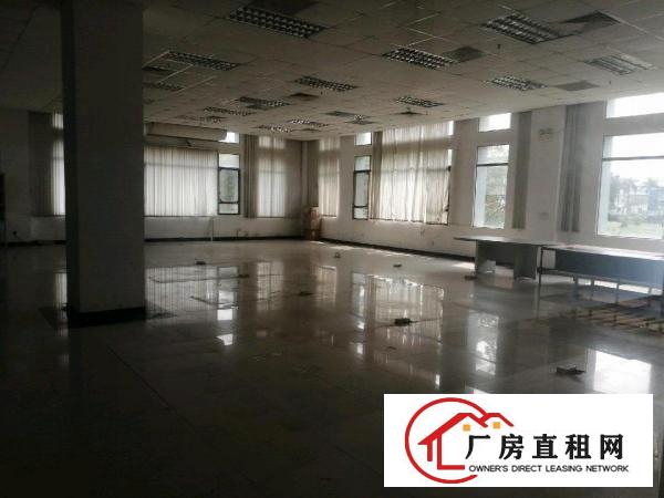  带红本的正规厂房出租