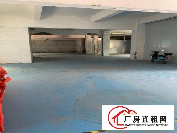  石碣水南工业区标准一楼工业厂房出租