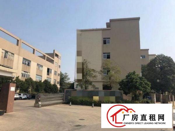 涌口无公摊独院分租1楼1800平方6米高精装