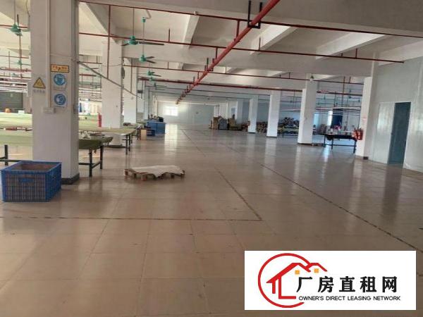  涌口无公摊独院分租1楼1800平方6米高精装