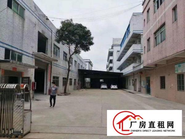  鹤田厦工业区2层标准独院厂房原房东厂房500平方起租