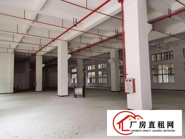  石碣工业区独门独院三层厂房出租
