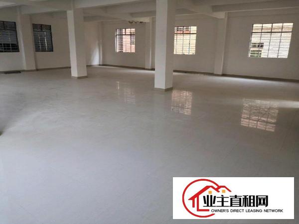  新建厂房，环城路及高速出入口附近，交通便利