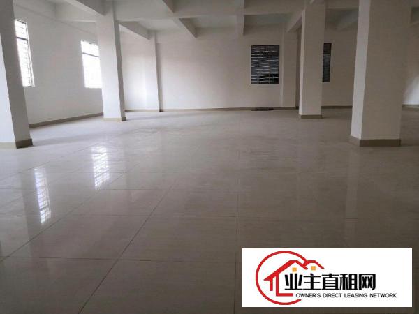  新建厂房，环城路及高速出入口附近，交通便利