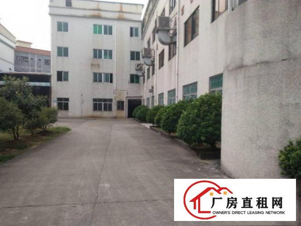  涌口一楼厂房500平出租，拎包入住，原房东，可办环评