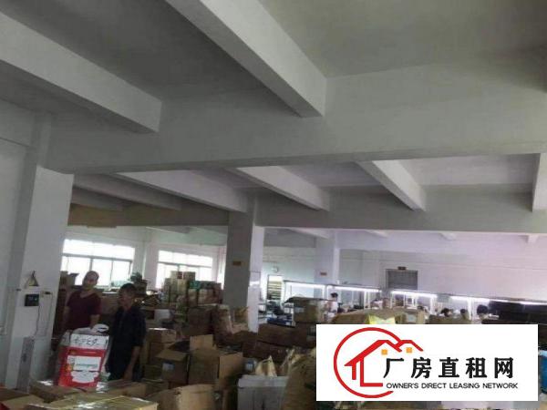  西南原房东，一楼厂房500方，拎包生产可办环评