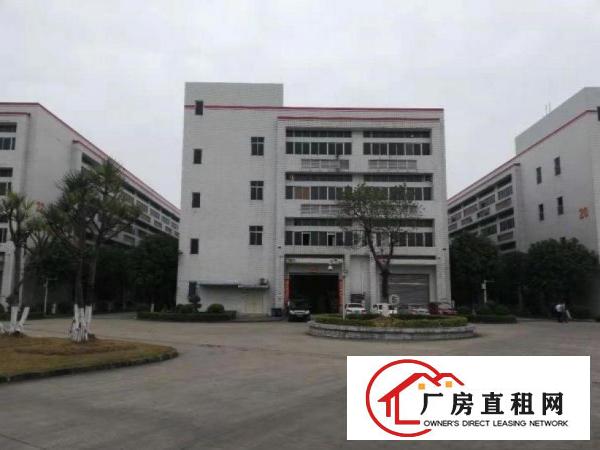  黄泗围标准一楼厂房带装修660平方