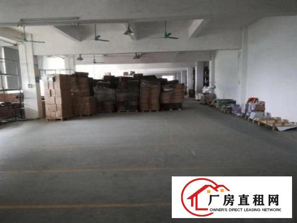  黄泗围标准一楼厂房带装修660平方