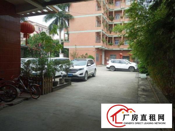  鹤田厦工业区1楼480平厂房出租，带牛角，适合多种行业