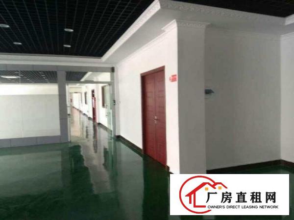  石碣镇四甲产业园:现有部分钢结构厂房出租