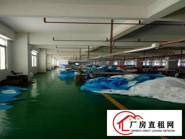 石碣镇四甲产业园:现有部分钢结构厂房出租