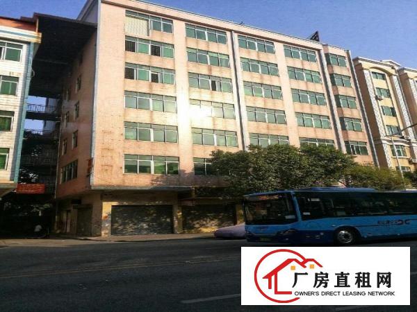  石碣原房东独栋厂房出租、仓库、办公室出租