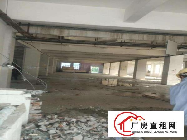  石碣工业园厂房仓库出租