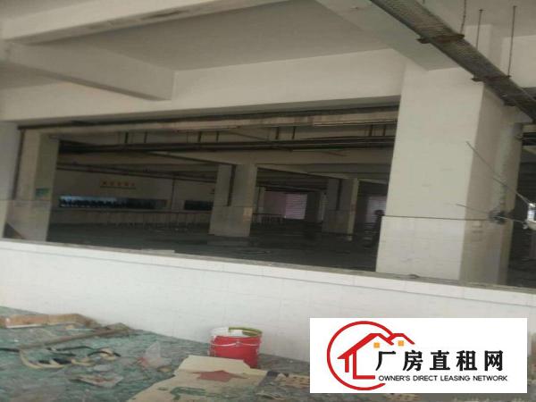  石碣工业园厂房仓库出租