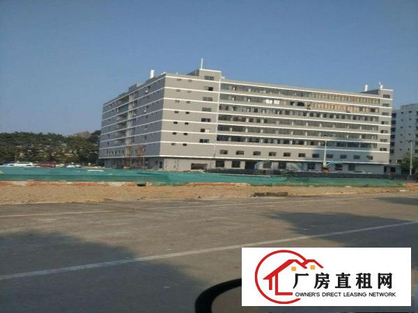  石碣工业园厂房仓库出租