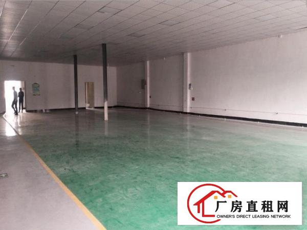  西南新出楼上带装修990平厂房出租，带消防喷淋，可办环评