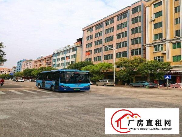  石碣厂房出租一手房东