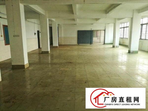  石竭厂房仓库出租一首房东