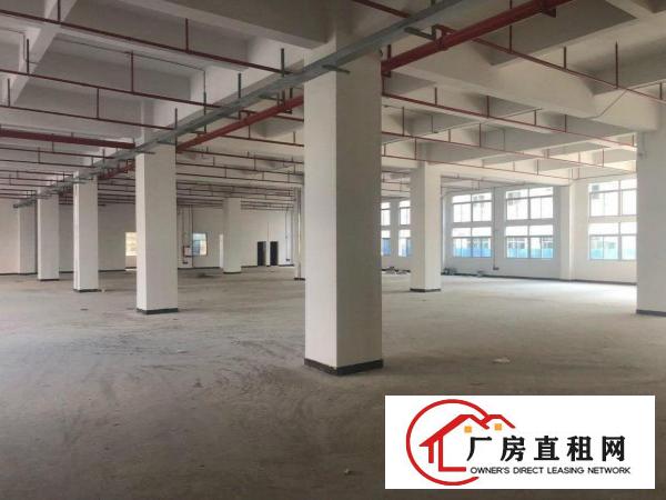  原房东厂房分租一楼800实际面积出租
