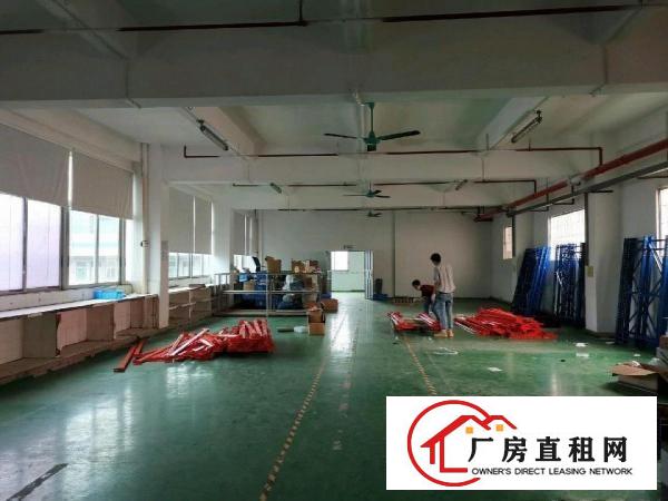  村委会5楼2100方厂房出租（图片真实）