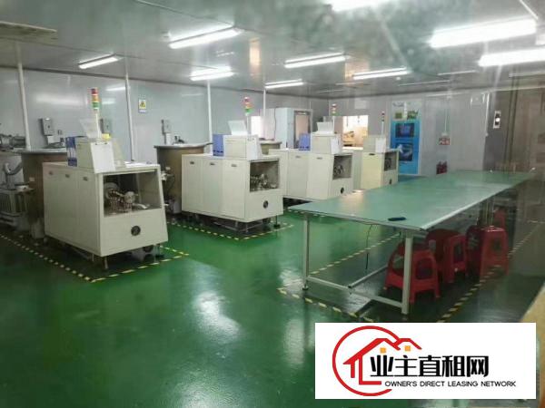  出租石碣镇石碣城区240平方厂房，精装修位置好易招工