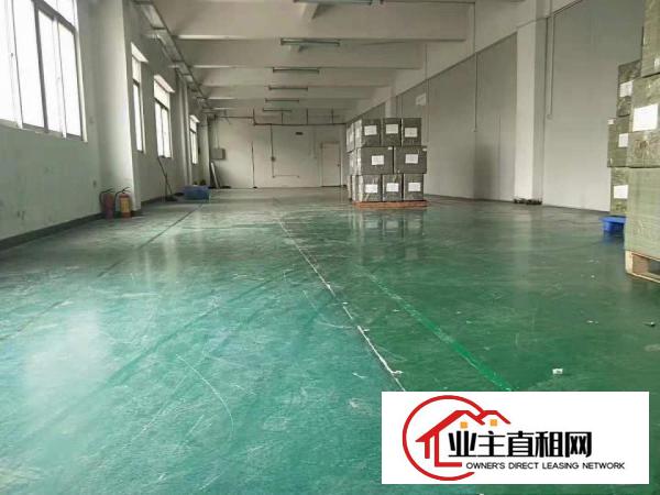  出租石碣镇石碣城区240平方厂房，精装修位置好易招工