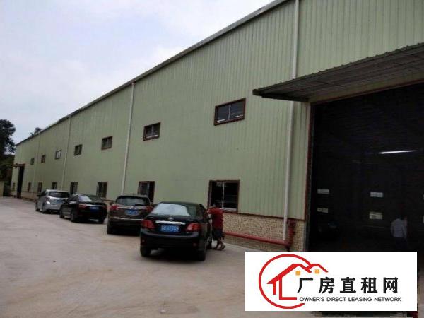  出租石碣单屋新出1900平方单层钢构厂房滴水7米