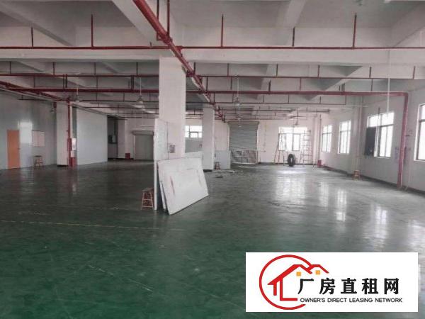  石碣沙腰标准厂房三楼1350平方招租有地坪漆,带装修