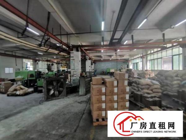  石碣西南标准厂房1楼700平方出租，可免押有环评