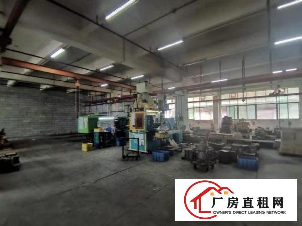  石碣西南标准厂房1楼700平方出租，可免押有环评
