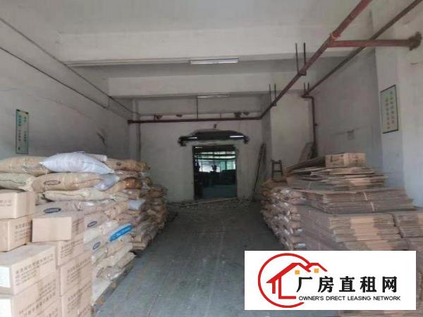  石碣西南标准厂房1楼700平方出租，可免押有环评
