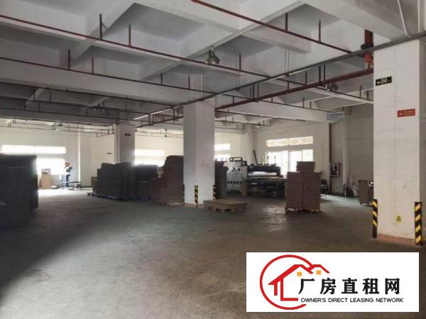  石碣黄泗围标准厂房一楼850平出租，形象好空地大